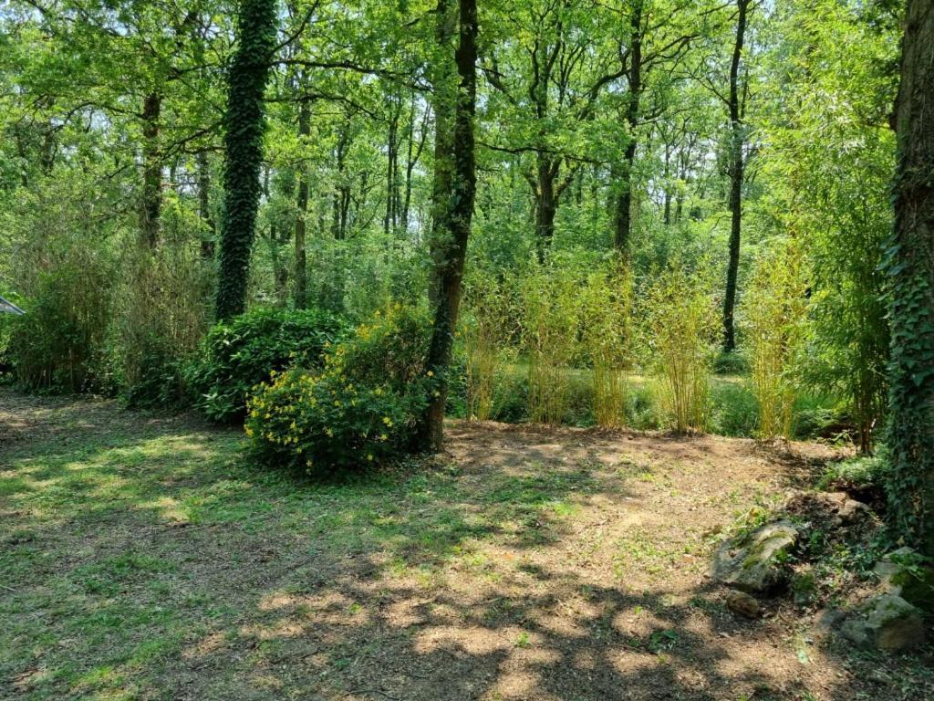 Les Chalets De Saumur, Piscine & Parc Boise, 100M Du Cadrenoir Zewnętrze zdjęcie