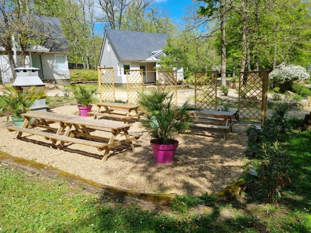 Les Chalets De Saumur, Piscine & Parc Boise, 100M Du Cadrenoir Zewnętrze zdjęcie