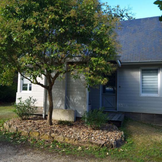 Les Chalets De Saumur, Piscine & Parc Boise, 100M Du Cadrenoir Zewnętrze zdjęcie
